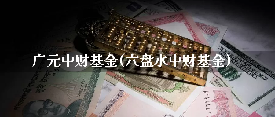 广元中财基金(六盘水中财基金)_https://www.lfyiying.com_股吧_第1张