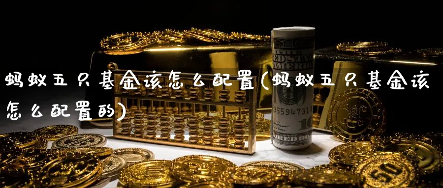 蚂蚁五只基金该怎么配置(蚂蚁五只基金该怎么配置的)_https://www.lfyiying.com_个股_第1张