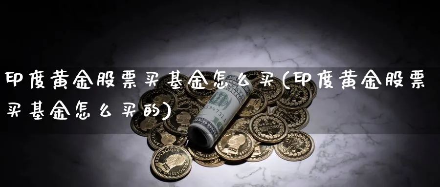 印度黄金股票买基金怎么买(印度黄金股票买基金怎么买的)_https://www.lfyiying.com_股吧_第1张