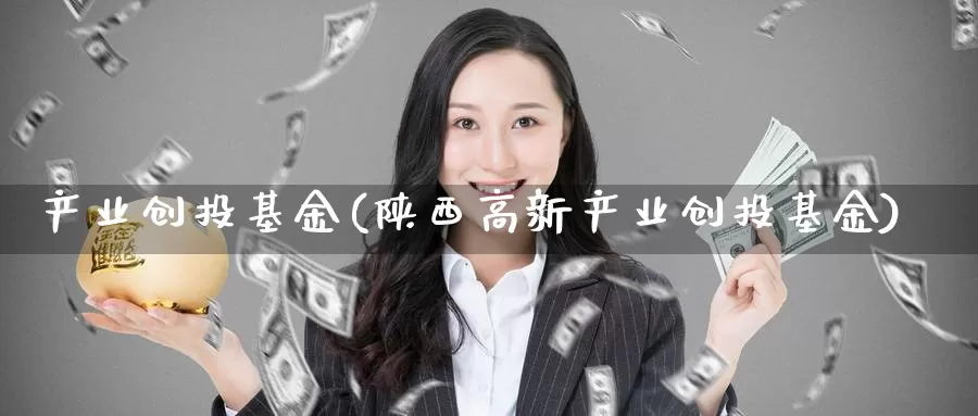 产业创投基金(陕西高新产业创投基金)_https://www.lfyiying.com_股票百科_第1张