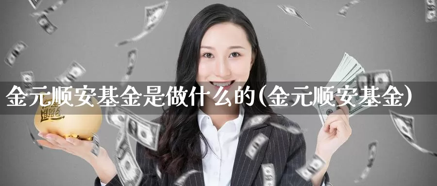 金元顺安基金是做什么的(金元顺安基金)_https://www.lfyiying.com_美股_第1张