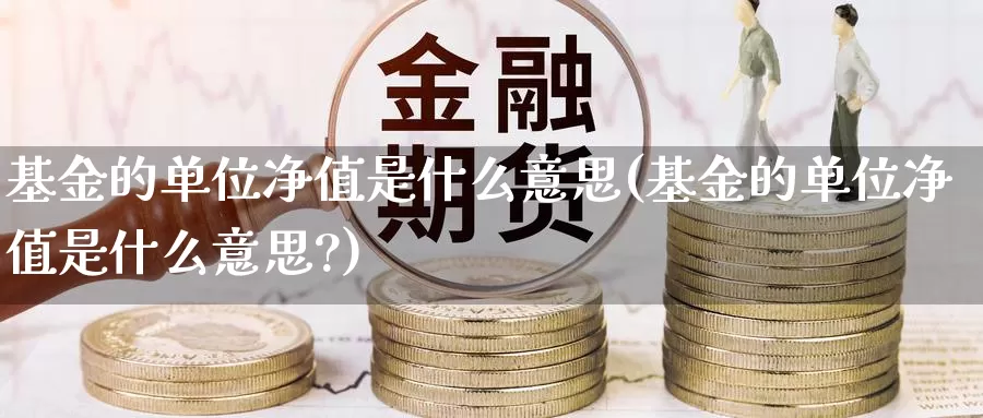 基金的单位净值是什么意思(基金的单位净值是什么意思?)_https://www.lfyiying.com_美股_第1张