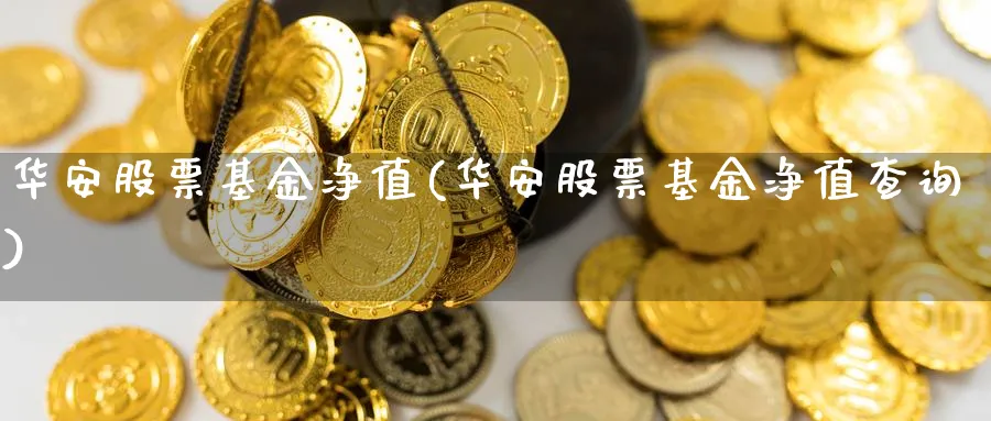 华安股票基金净值(华安股票基金净值查询)_https://www.lfyiying.com_证券_第1张