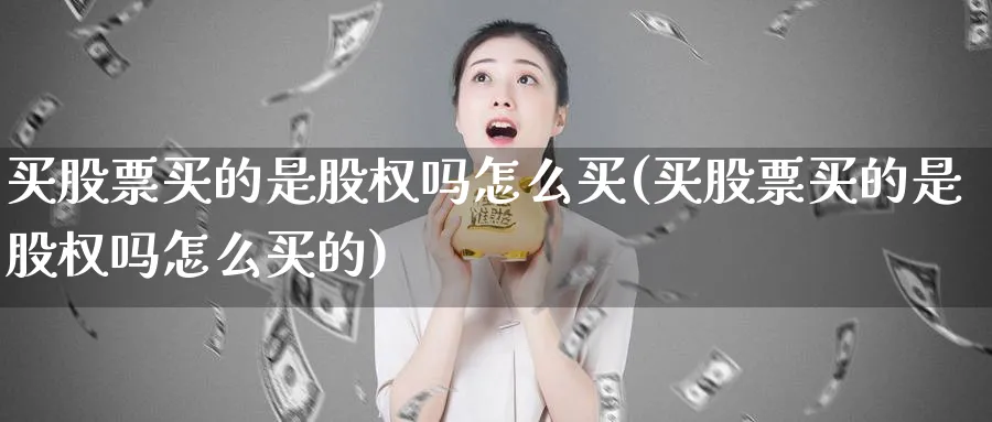 买股票买的是股权吗怎么买(买股票买的是股权吗怎么买的)_https://www.lfyiying.com_股吧_第1张