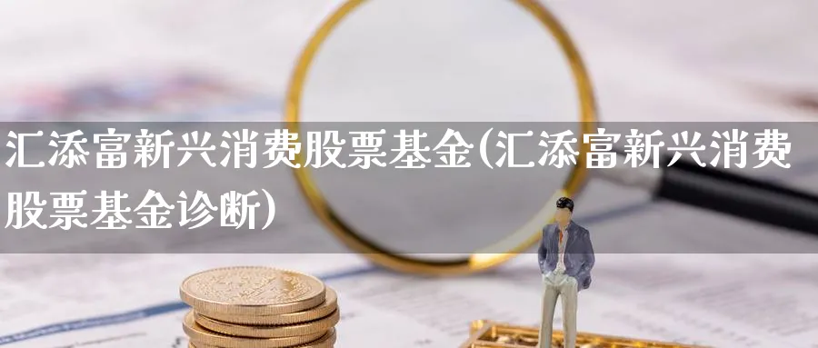 汇添富新兴消费股票基金(汇添富新兴消费股票基金诊断)_https://www.lfyiying.com_个股_第1张