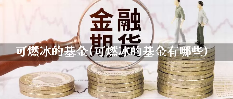 可燃冰的基金(可燃冰的基金有哪些)_https://www.lfyiying.com_股票分类_第1张