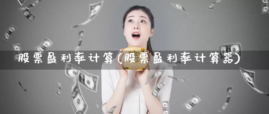 股票盈利率计算(股票盈利率计算器)_https://www.lfyiying.com_股票百科_第1张