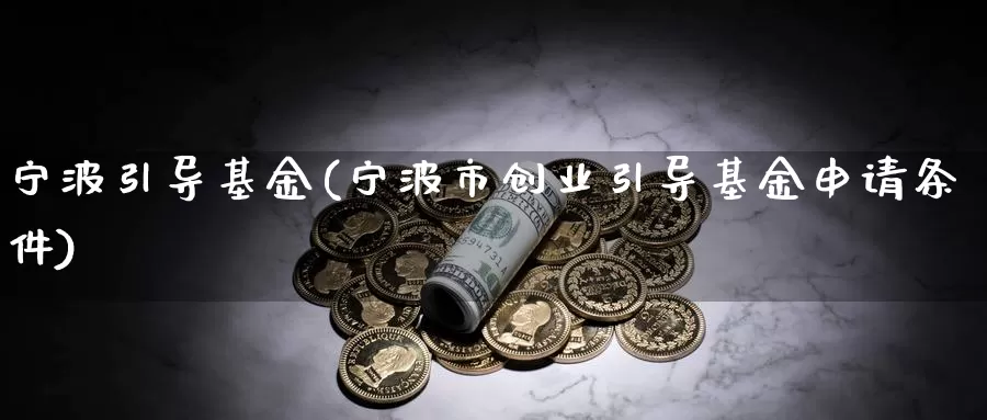 宁波引导基金(宁波市创业引导基金申请条件)_https://www.lfyiying.com_个股_第1张