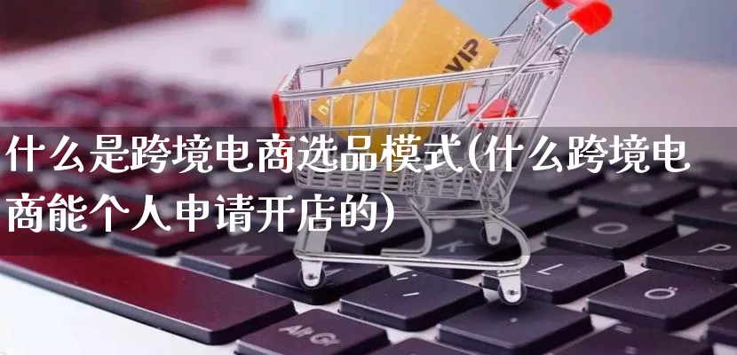 什么是跨境电商选品模式(什么跨境电商能个人申请开店的)_https://www.lfyiying.com_股票百科_第1张