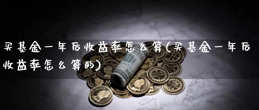 买基金一年后收益率怎么算(买基金一年后收益率怎么算的)_https://www.lfyiying.com_美股_第1张