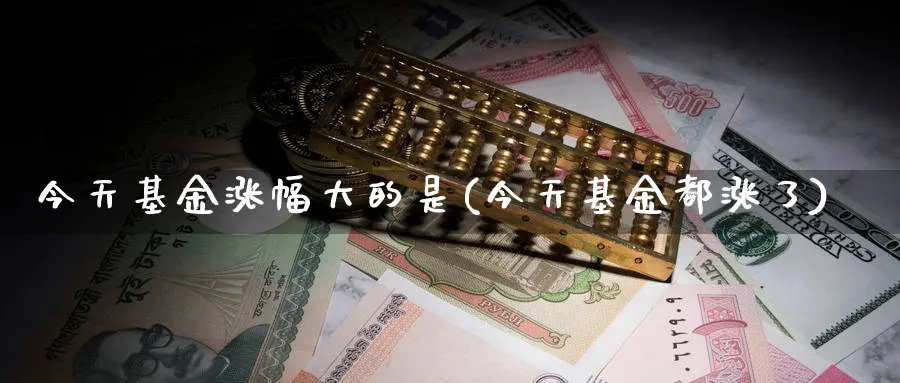 今天基金涨幅大的是(今天基金都涨了)_https://www.lfyiying.com_港股_第1张