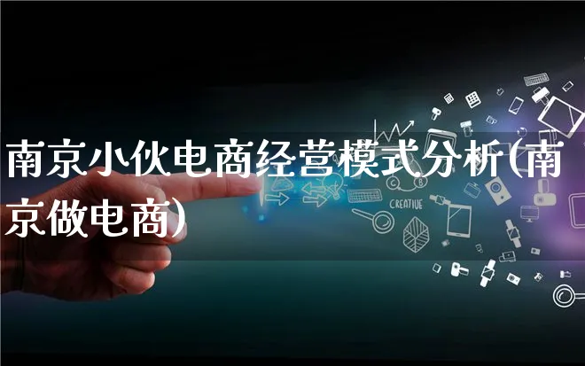 南京小伙电商经营模式分析(南京做电商)_https://www.lfyiying.com_股票百科_第1张