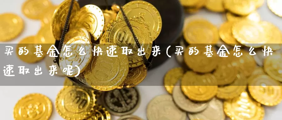 买的基金怎么快速取出来(买的基金怎么快速取出来呢)_https://www.lfyiying.com_股吧_第1张