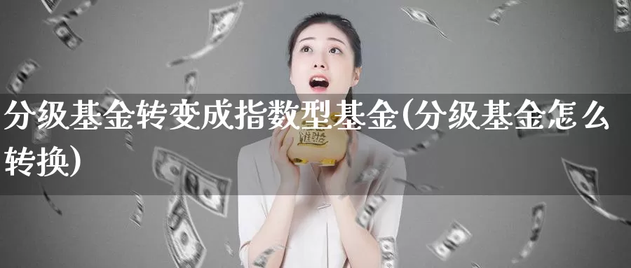 分级基金转变成指数型基金(分级基金怎么转换)_https://www.lfyiying.com_个股_第1张