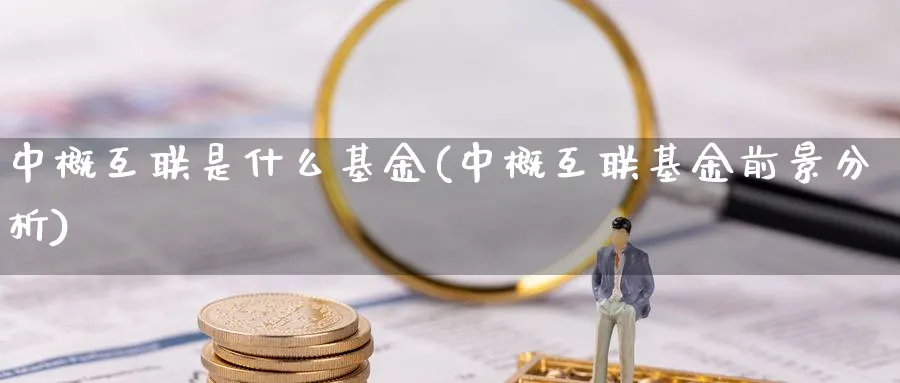 中概互联是什么基金(中概互联基金前景分析)_https://www.lfyiying.com_证券_第1张