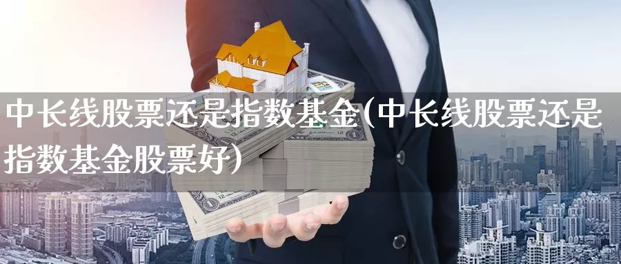 中长线股票还是指数基金(中长线股票还是指数基金股票好)_https://www.lfyiying.com_股票百科_第1张