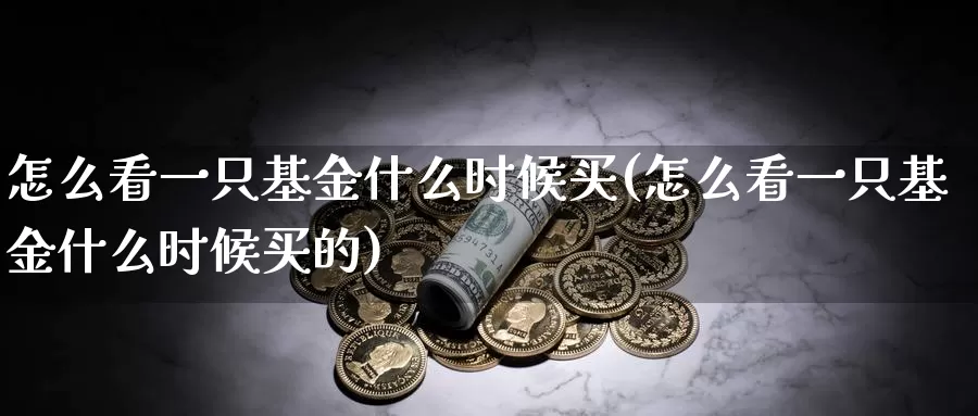 怎么看一只基金什么时候买(怎么看一只基金什么时候买的)_https://www.lfyiying.com_证券_第1张