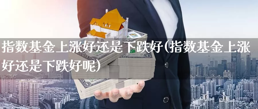 指数基金上涨好还是下跌好(指数基金上涨好还是下跌好呢)_https://www.lfyiying.com_个股_第1张