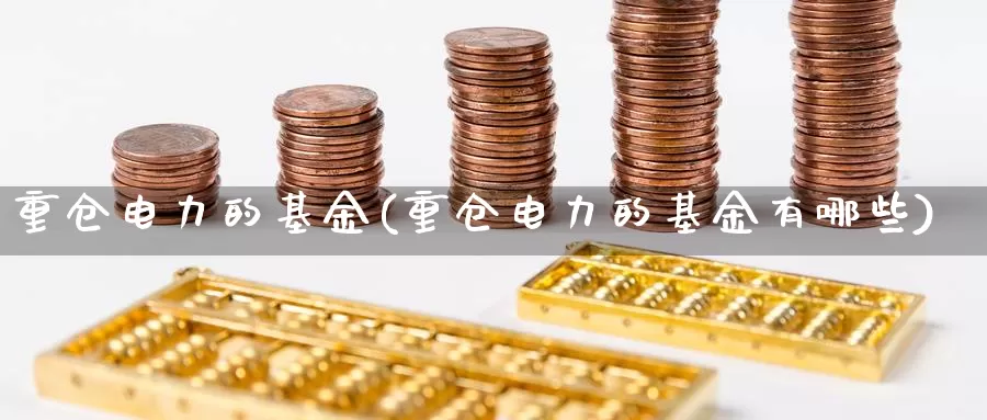 重仓电力的基金(重仓电力的基金有哪些)_https://www.lfyiying.com_证券_第1张