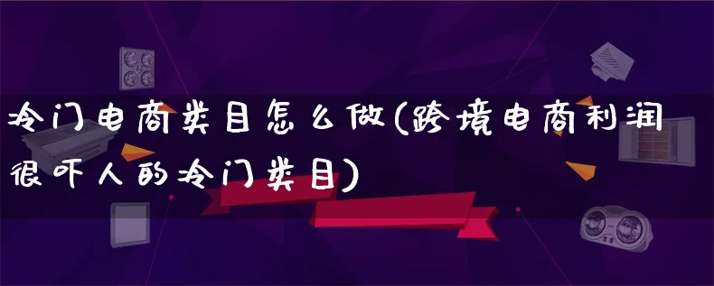 冷门电商类目怎么做(跨境电商利润很吓人的冷门类目)_https://www.lfyiying.com_证券_第1张