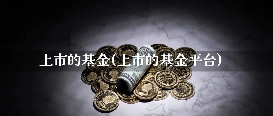 上市的基金(上市的基金平台)_https://www.lfyiying.com_港股_第1张