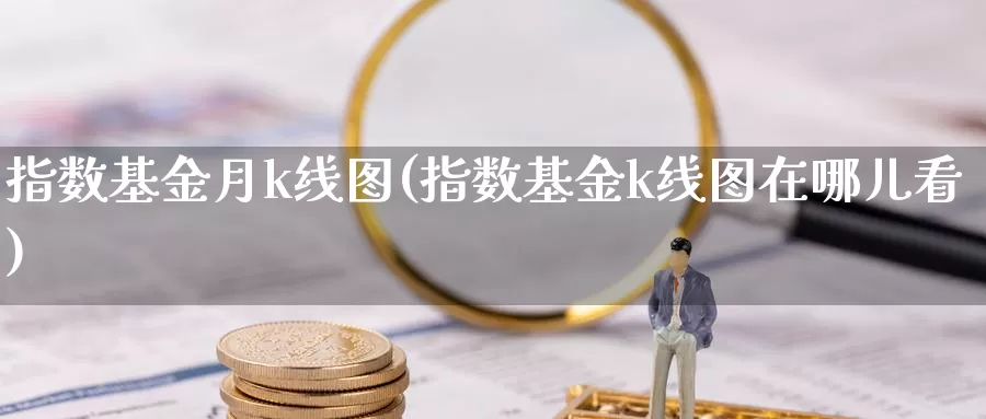 指数基金月k线图(指数基金k线图在哪儿看)_https://www.lfyiying.com_股票分类_第1张