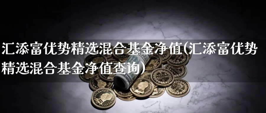 汇添富优势精选混合基金净值(汇添富优势精选混合基金净值查询)_https://www.lfyiying.com_股吧_第1张