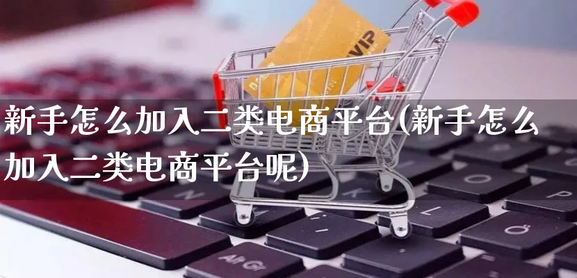 新手怎么加入二类电商平台(新手怎么加入二类电商平台呢)_https://www.lfyiying.com_证券_第1张