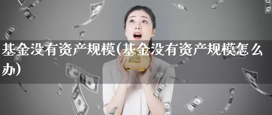 基金没有资产规模(基金没有资产规模怎么办)_https://www.lfyiying.com_个股_第1张