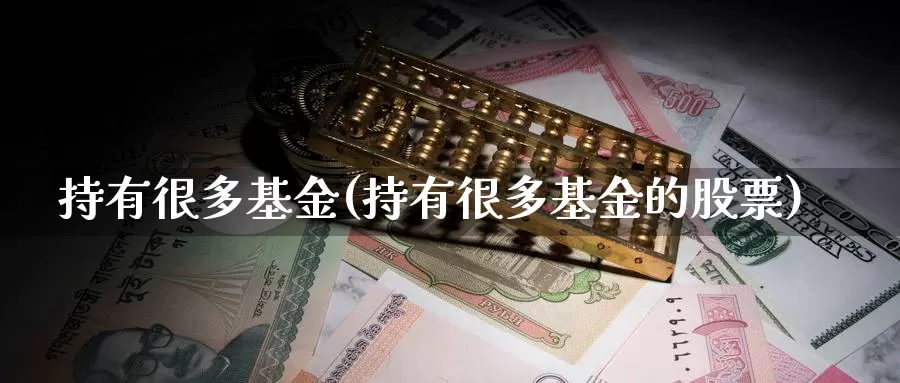 持有很多基金(持有很多基金的股票)_https://www.lfyiying.com_个股_第1张