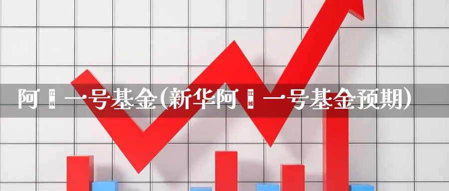 阿鑫一号基金(新华阿鑫一号基金预期)_https://www.lfyiying.com_证券_第1张