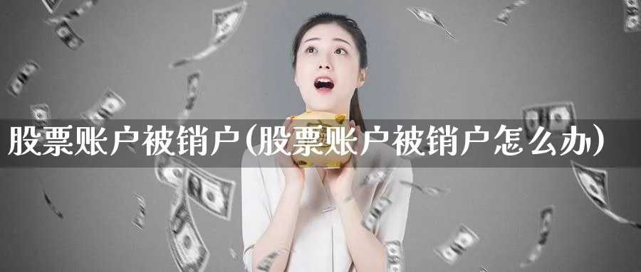 股票账户被销户(股票账户被销户怎么办)_https://www.lfyiying.com_个股_第1张