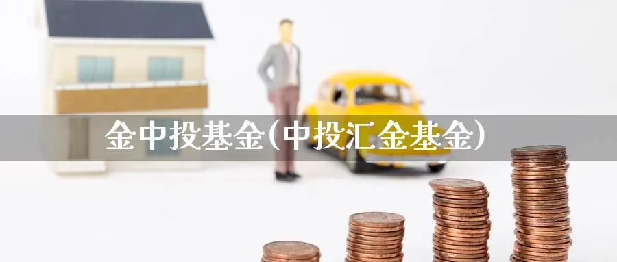 金中投基金(中投汇金基金)_https://www.lfyiying.com_个股_第1张