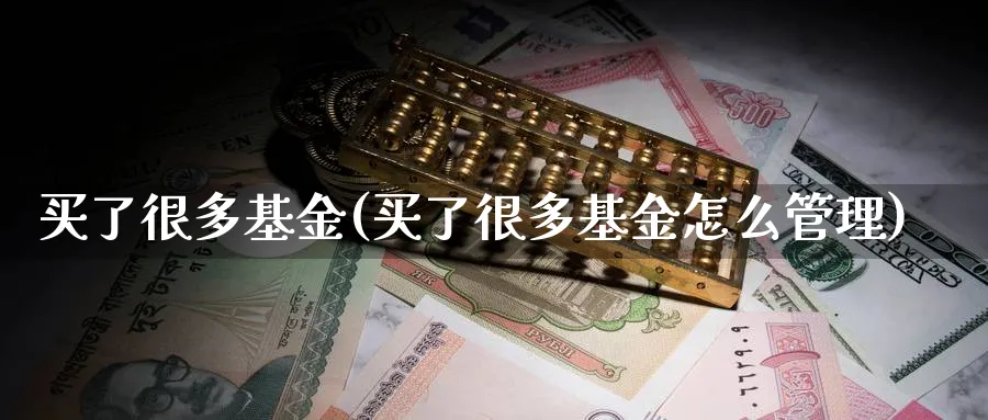 买了很多基金(买了很多基金怎么管理)_https://www.lfyiying.com_股票分类_第1张