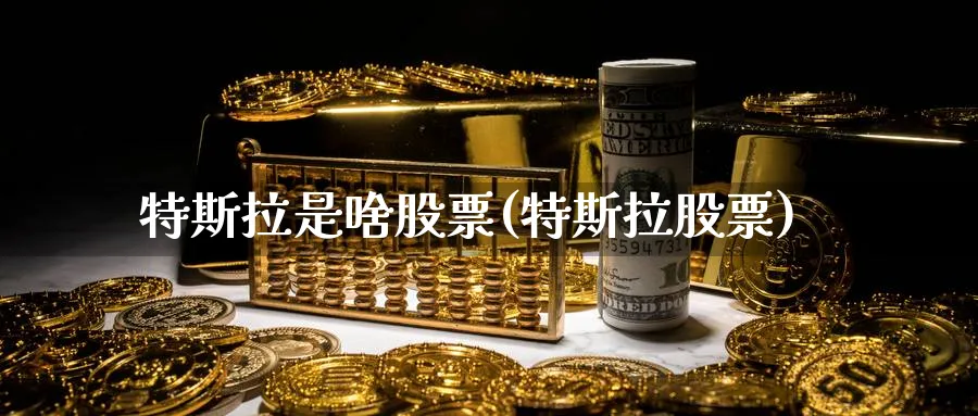 特斯拉是啥股票(特斯拉股票)_https://www.lfyiying.com_美股_第1张