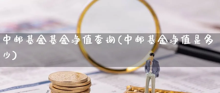 中邮基金基金净值查询(中邮基金净值是多少)_https://www.lfyiying.com_个股_第1张