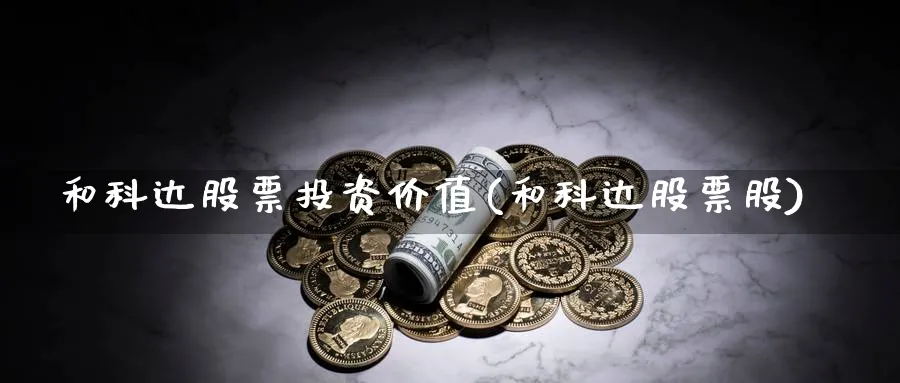 和科达股票投资价值(和科达股票股)_https://www.lfyiying.com_股吧_第1张