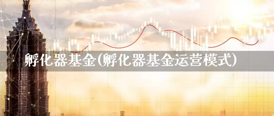 孵化器基金(孵化器基金运营模式)_https://www.lfyiying.com_证券_第1张