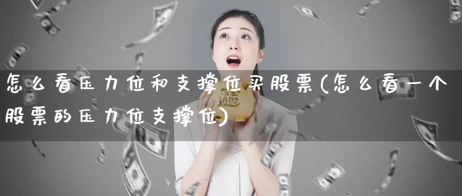 怎么看压力位和支撑位买股票(怎么看一个股票的压力位支撑位)_https://www.lfyiying.com_股吧_第1张