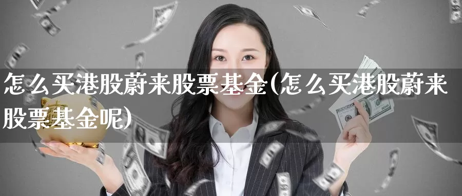 怎么买港股蔚来股票基金(怎么买港股蔚来股票基金呢)_https://www.lfyiying.com_股吧_第1张