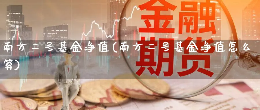 南方二号基金净值(南方二号基金净值怎么算)_https://www.lfyiying.com_股票百科_第1张