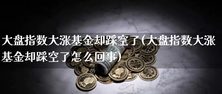 大盘指数大涨基金却踩空了(大盘指数大涨基金却踩空了怎么回事)_https://www.lfyiying.com_个股_第1张