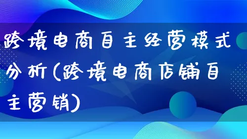 跨境电商自主经营模式分析(跨境电商店铺自主营销)_https://www.lfyiying.com_个股_第1张