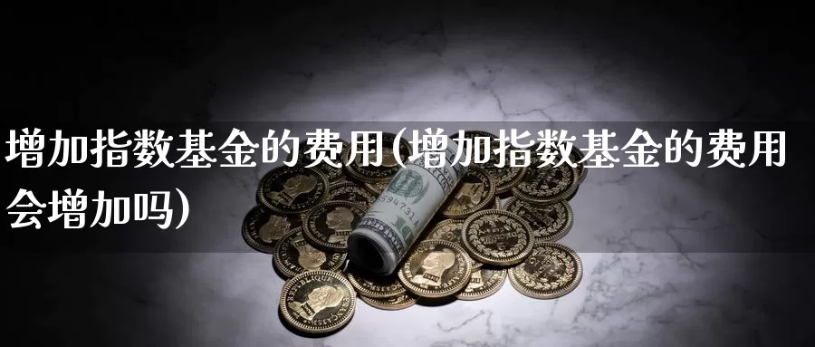 增加指数基金的费用(增加指数基金的费用会增加吗)_https://www.lfyiying.com_股吧_第1张