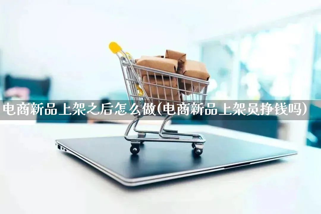 电商新品上架之后怎么做(电商新品上架员挣钱吗)_https://www.lfyiying.com_股票百科_第1张