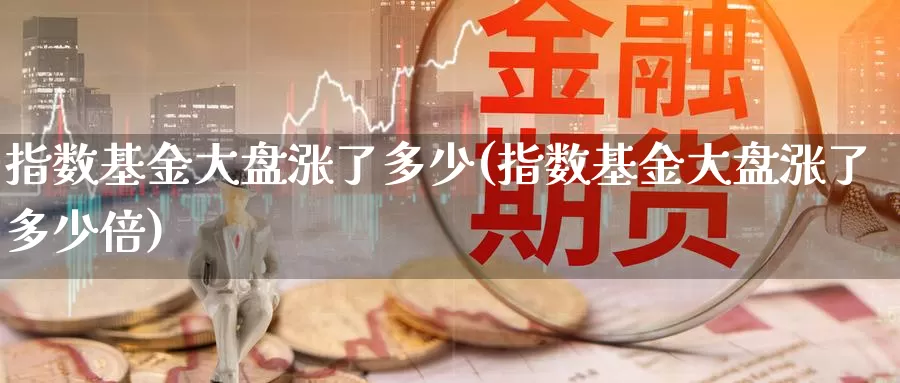 指数基金大盘涨了多少(指数基金大盘涨了多少倍)_https://www.lfyiying.com_股票分类_第1张