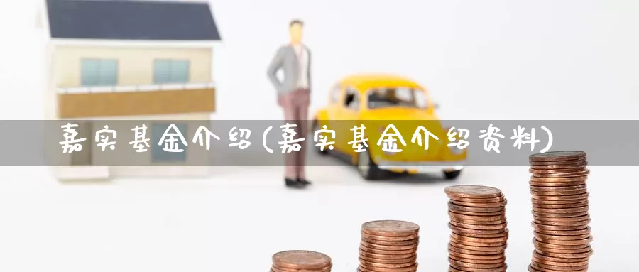 嘉实基金介绍(嘉实基金介绍资料)_https://www.lfyiying.com_股吧_第1张