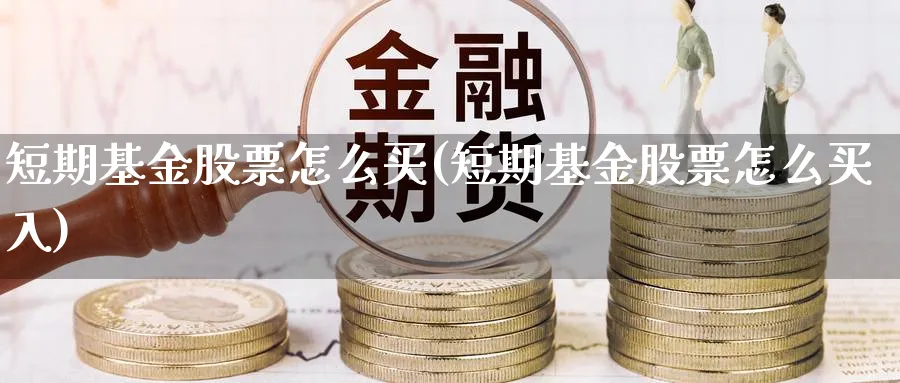 短期基金股票怎么买(短期基金股票怎么买入)_https://www.lfyiying.com_港股_第1张