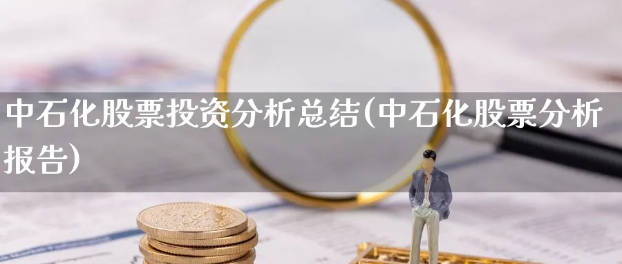 中石化股票投资分析总结(中石化股票分析报告)_https://www.lfyiying.com_股票分类_第1张