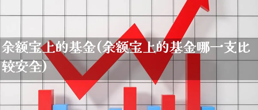 余额宝上的基金(余额宝上的基金哪一支比较安全)_https://www.lfyiying.com_股吧_第1张